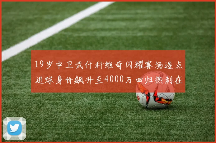 19岁中卫武什科维奇闪耀赛场造点进球身价飙升至4000万回归热刺在即