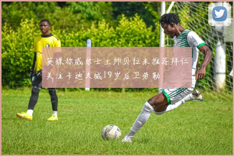 英媒称威尔士主帅贝拉米推荐拜仁关注卡迪夫城19岁后卫劳勒